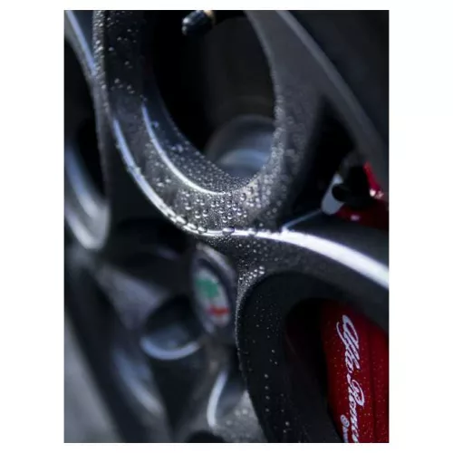 Elite Detailer Rim Wax – ceară pentru jante 300 ml