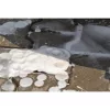 ProElite TR-F – concentrat de spumă pentru prespălare 5 L